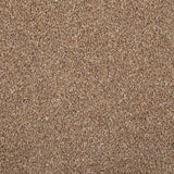 Chocolate StainFree Panache Carpet