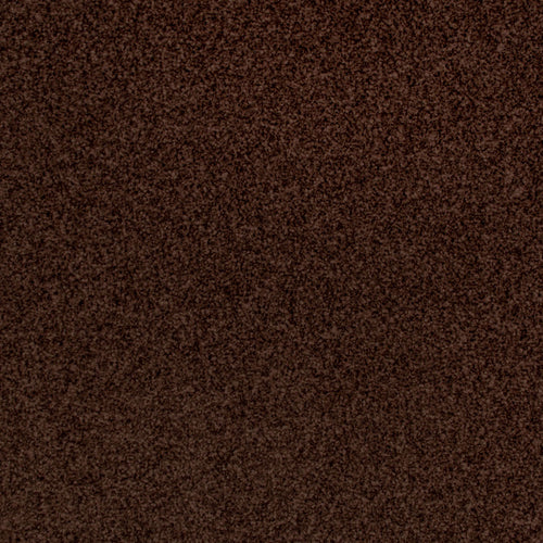 Espresso Stainfree Classic Twist Carpet