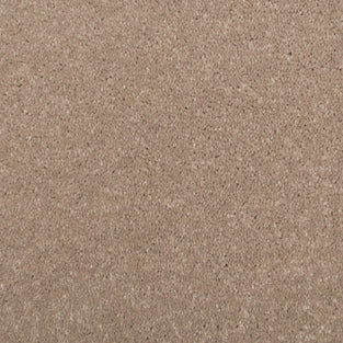 Clevertone 32 Promenade Carpet Clearance