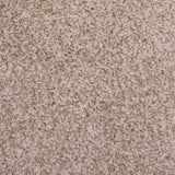 Stainaway Harvest Heathers Deluxe Carpet