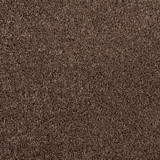 Coffee Tone 46 Distinction Supreme Carpet