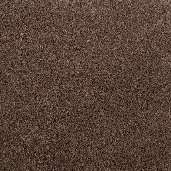 Coffee Tone 46 Distinction Supreme Carpet