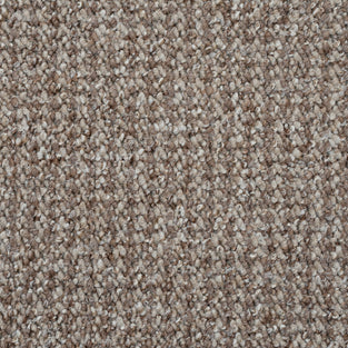 Dark Beige Conan Loop Feltback Carpet