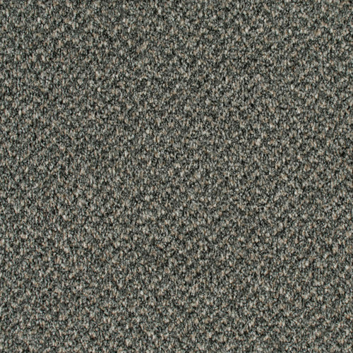 Concrete 94 Stainaway Tweed Carpet