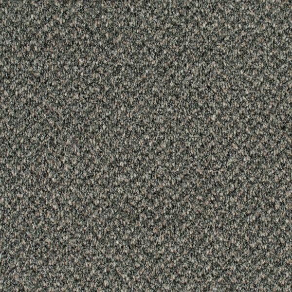 Concrete 94 Stainaway Tweed Carpet