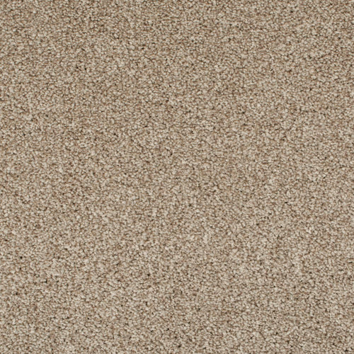 Cookie Dough 46 Temptation Carpet Clearance