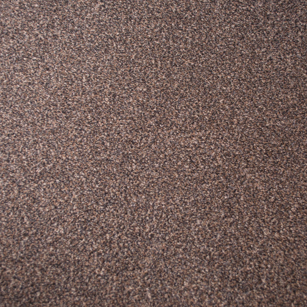 Aspen Stainfree Countess Carpet