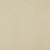 Cream 171 Barello Plains Intenza Carpet