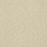 Cream 171 Barello Plains Intenza Carpet