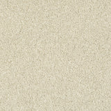 Cream 60 Hudson Carpet