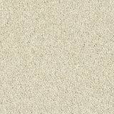 Cream 60 Hudson Carpet