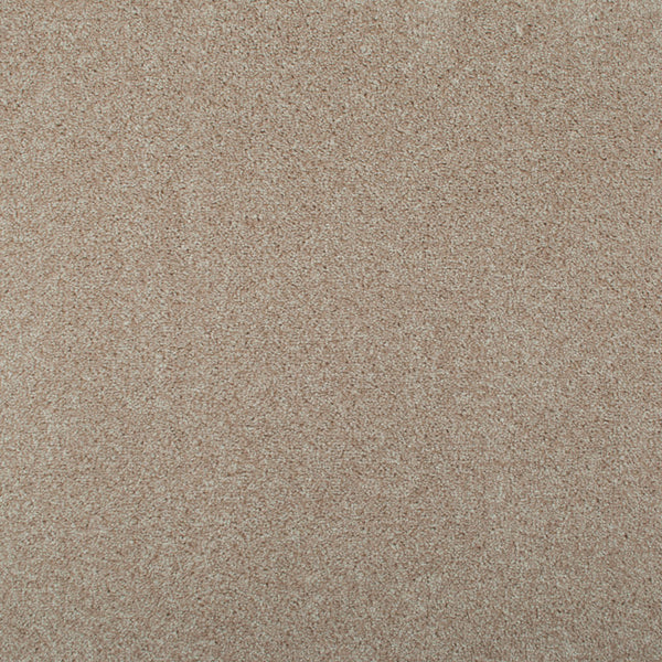 Cream 670 Splendid Saxony Actionback Carpet