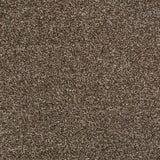 Cream & Brown 93 Hudson Carpet