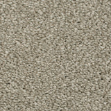 Lilylock 29 Darius 50oz Heathers Invictus Carpet Clearance