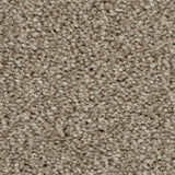 Soya 37 Darius 50oz Heathers Invictus Carpet Clearance