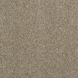 Soya 37 Darius 50oz Heathers Invictus Carpet Clearance