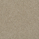 Darius 50oz Heathers Invictus Carpet