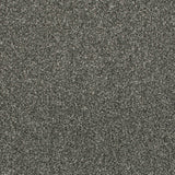 Darius 50oz Heathers Invictus Carpet