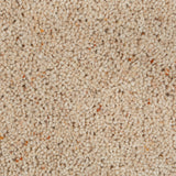 Dawn Haze Wharfdale Twist 40oz Carpet