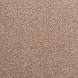 Stainfree Decor Twist Carpet