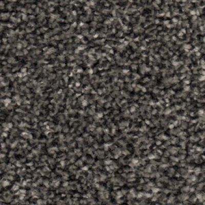 Delaware Slate Sensation Heathers 60oz Carpet by Cormar