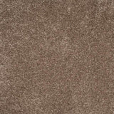 Orion 50oz Invictus Carpet