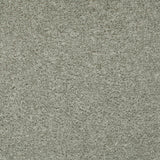 Dolphin 07 Tuftex Twist Actionback Carpet