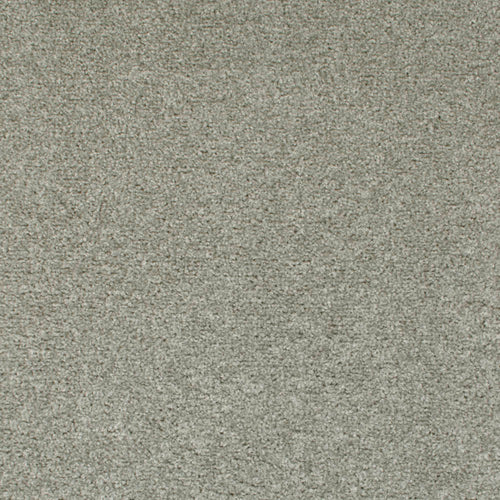 Dolphin 07 Tuftex Twist Actionback Carpet