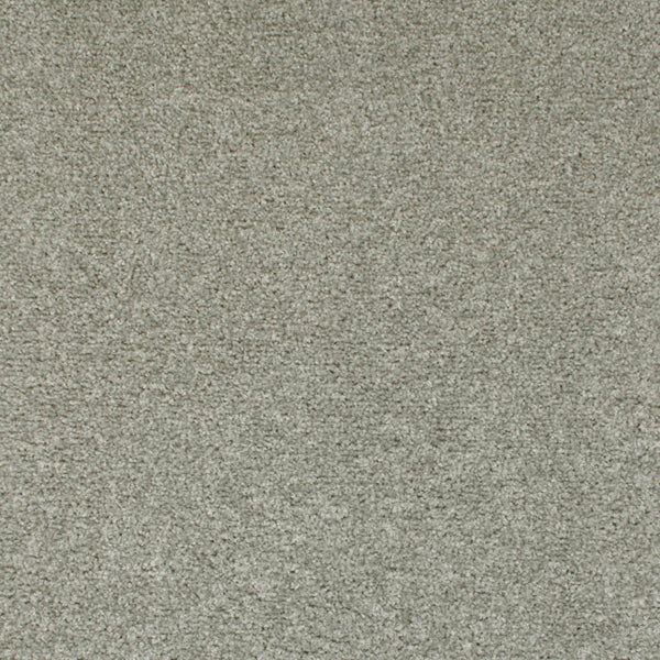 Dolphin 07 Tuftex Twist Actionback Carpet