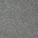 Dove Grey Woodland Heather 55oz Twist Deluxe Carpet