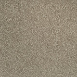 Dusky Brown Missouri Saxony Carpet