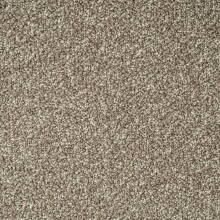 Dusky Brown Missouri Saxony Carpet