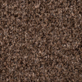 Earth Brown Liberty Heathers Carpet