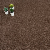 Earth Brown Liberty Heathers Carpet