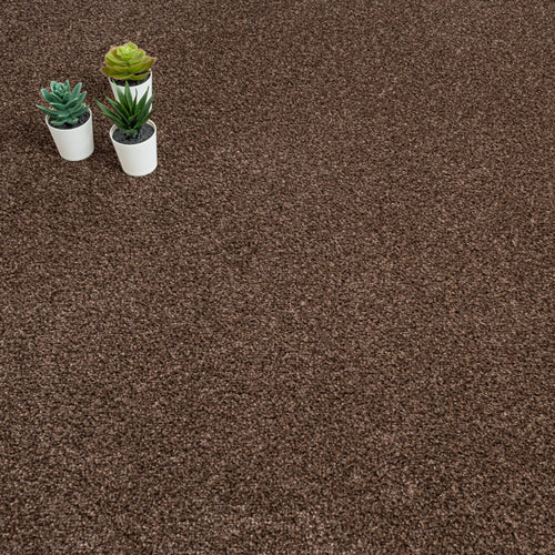 Earth Brown Liberty Heathers Carpet