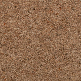 Earth Natural Berber Twist Deluxe 55oz Carpet by Cormar