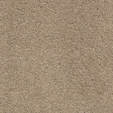 Earth Stone 780 Sarabi Carpet