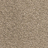 Earth Stone 780 Sarabi Carpet