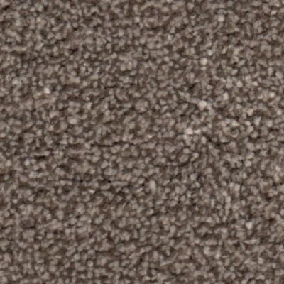 Eastern Teak Sensation Heathers 60oz Carpet by Cormar