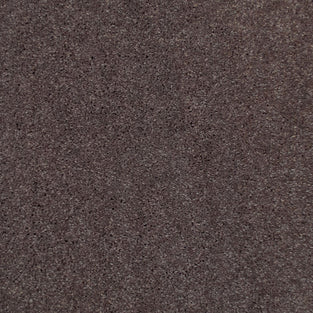 Enchanting 48 Sophistication Supreme Carpet