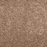 Stainfree Royale Carpet