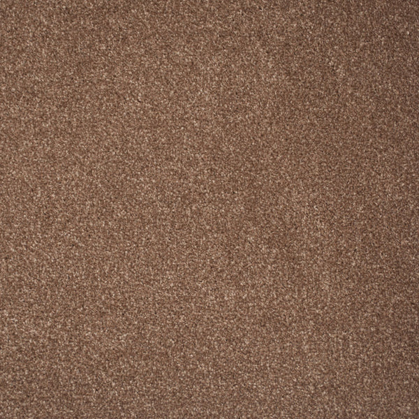 Butterscotch 34 Everest Twist Carpet