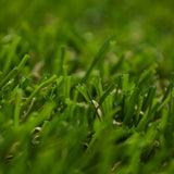 Evergreen 30mm Artificial Grass