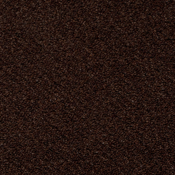 Chocolate Brown Royal Loop Carpet