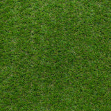 Olympic 27 Artificial Grass