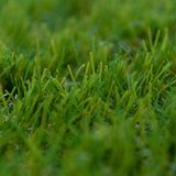 Olympic 27 Artificial Grass