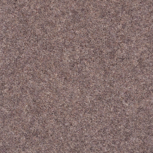 Damson Forest Hills Super Carpet by Cormar