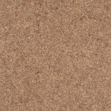 Forest Hills Super Carpet by Cormar