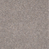 Forest Hills Super Carpet by Cormar