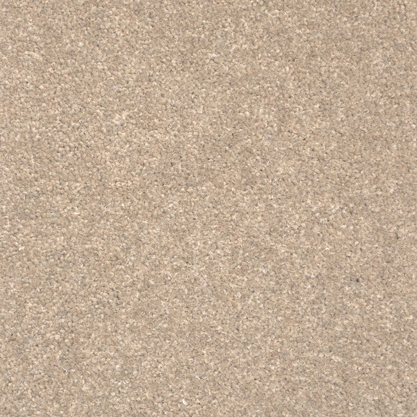 Nubuck Forest Hills Super Carpet by Cormar